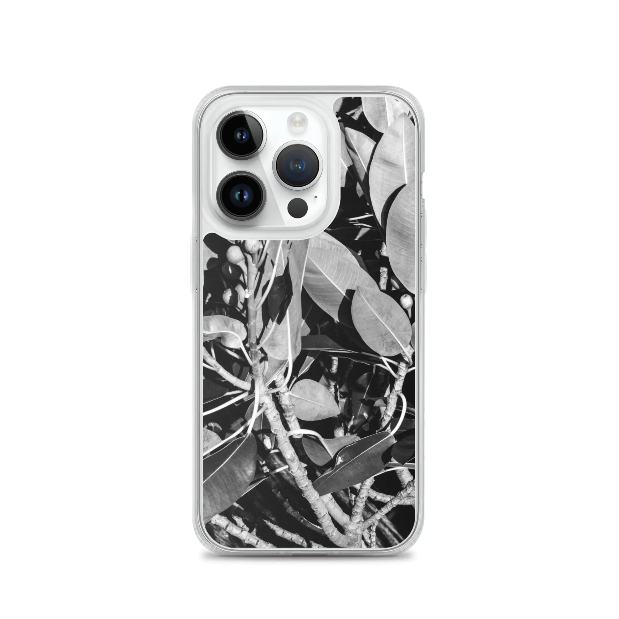Moreton Bay Fig Botanical Art Iphone Case - Black And White - Iphone 14 Pro - Mobile Phone Cases - Aesthetic Art