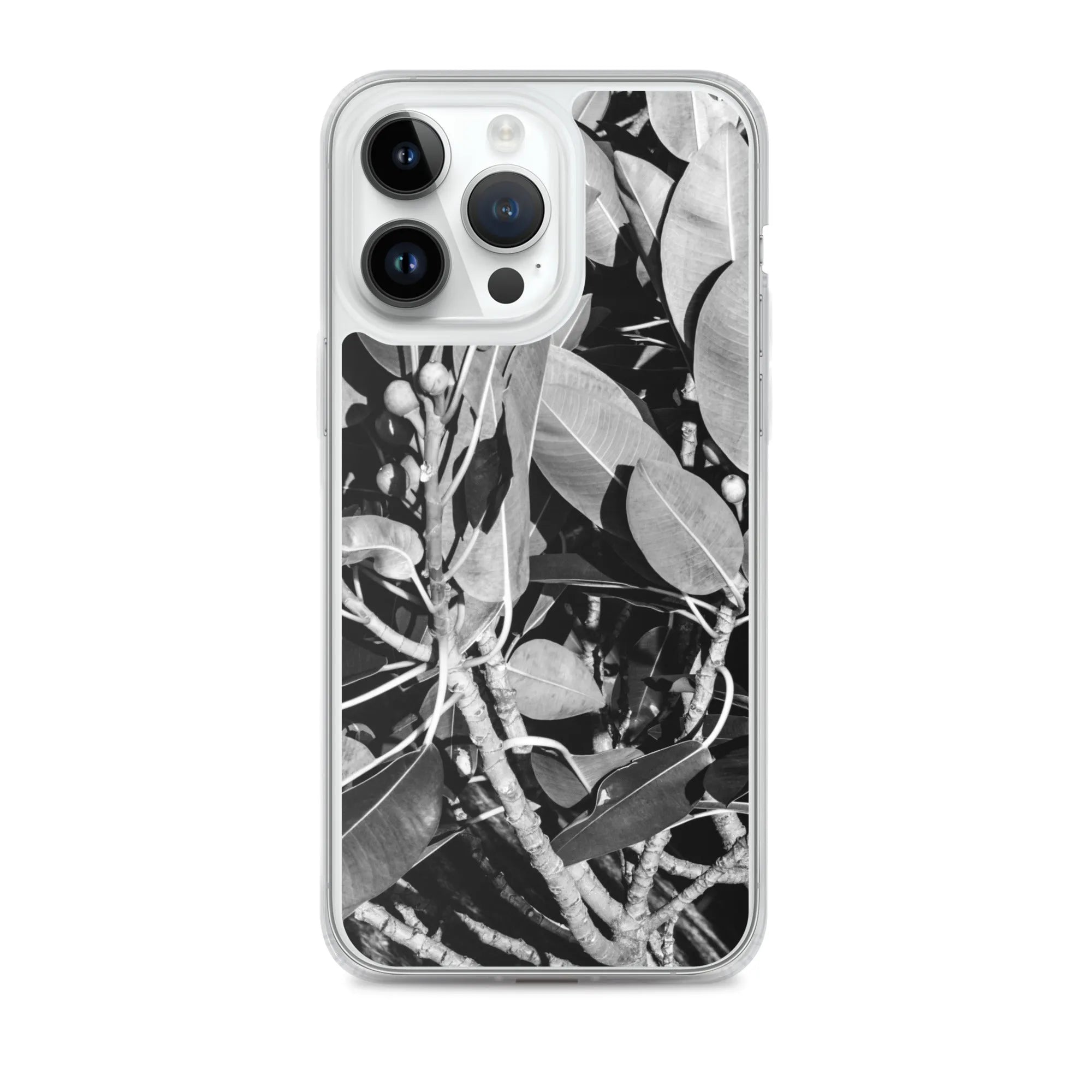 Moreton Bay Fig Botanical Art Iphone Case - Black And White - Iphone 14 Pro Max - Mobile Phone Cases - Aesthetic Art