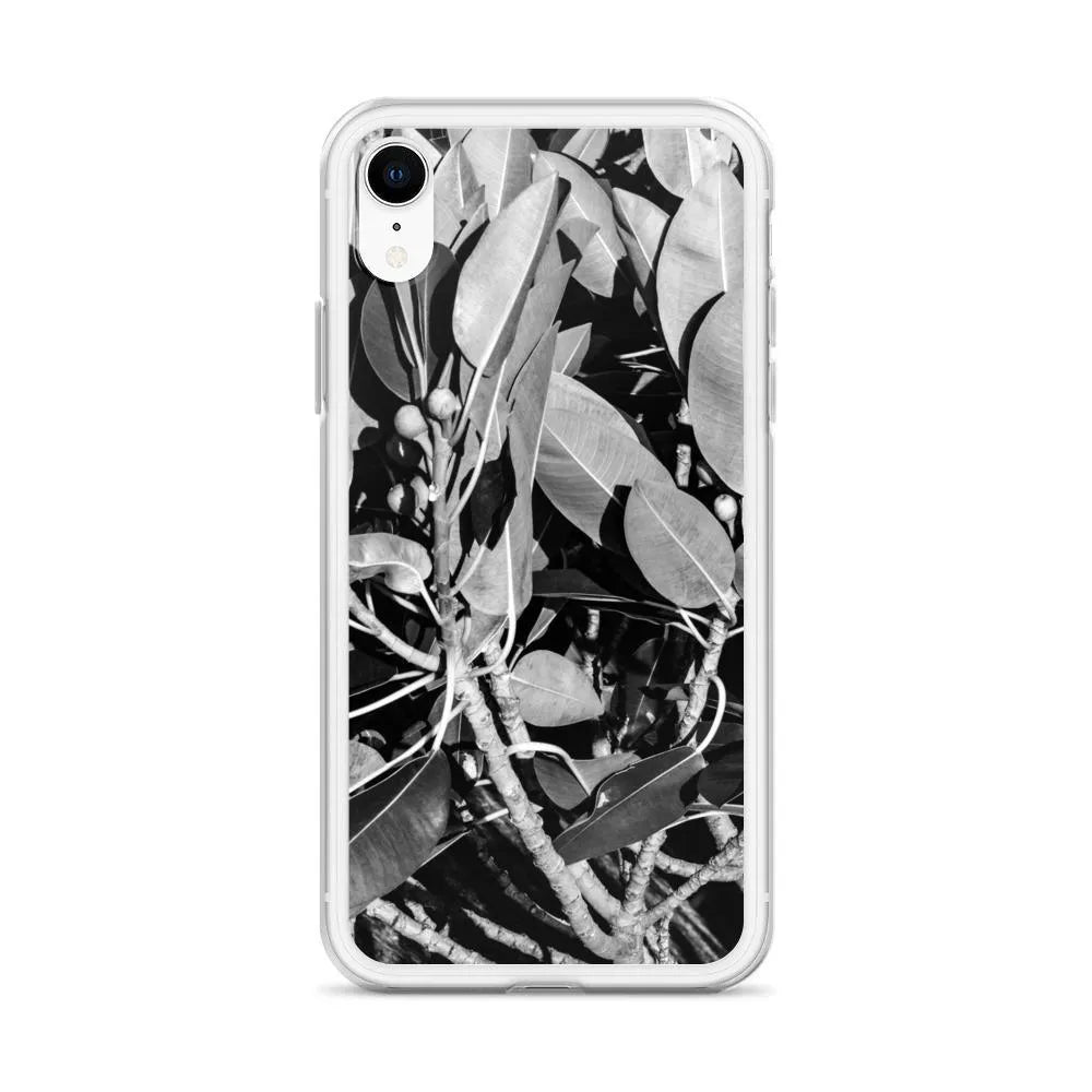 Moreton Bay Fig Botanical Art Iphone Case - Black And White - Mobile Phone Cases - Aesthetic Art