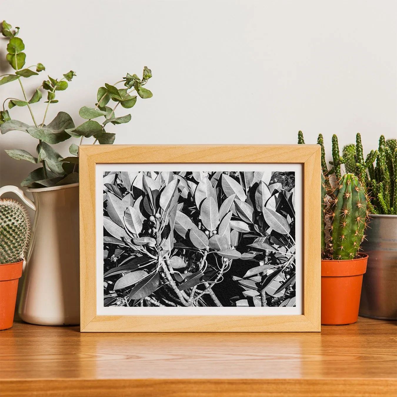 Moreton Bay Fig Leaf Art Print - Black And White - 8×10 - Posters Prints & Visual Artwork - Aesthetic Art