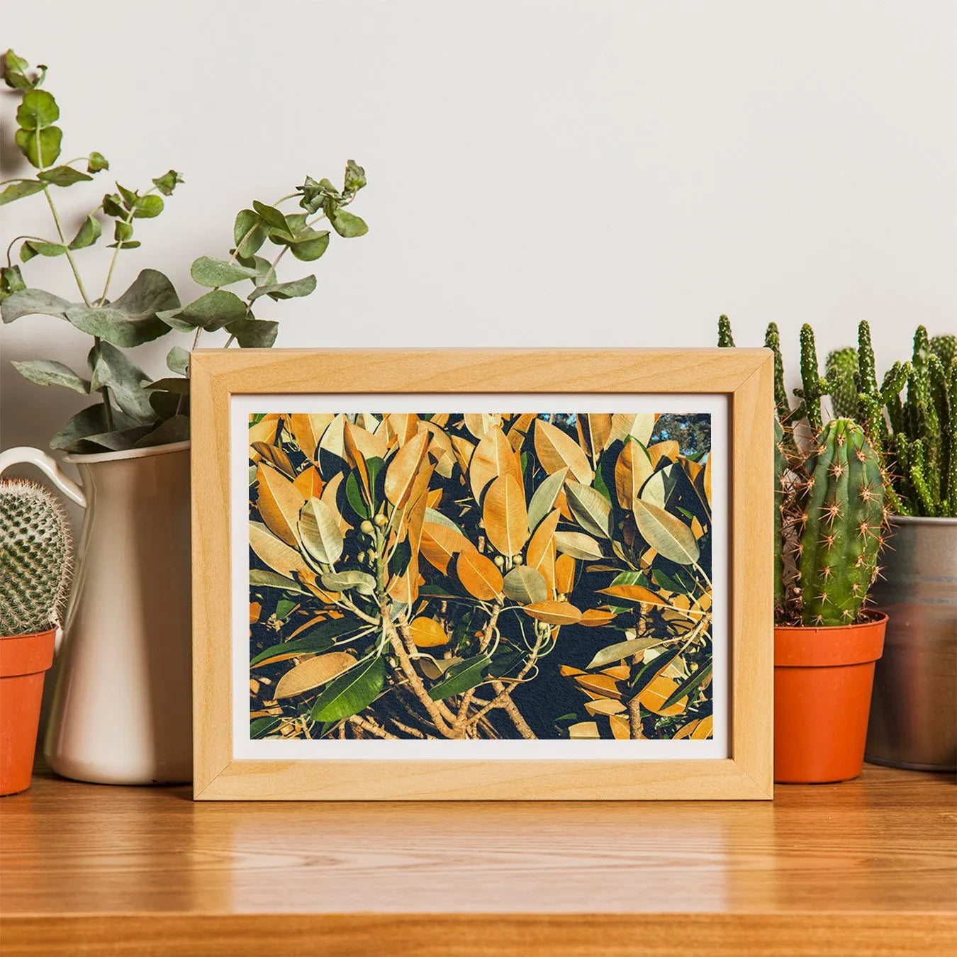 Moreton Bay Fig Leaf Art Print - Modern Botanicals - 8×10 - Posters Prints & Visual Artwork - Aesthetic Art