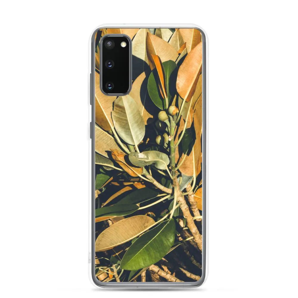 Moreton Bay Fig Samsung Galaxy Case - Samsung Galaxy S20 - Mobile Phone Cases - Aesthetic Art