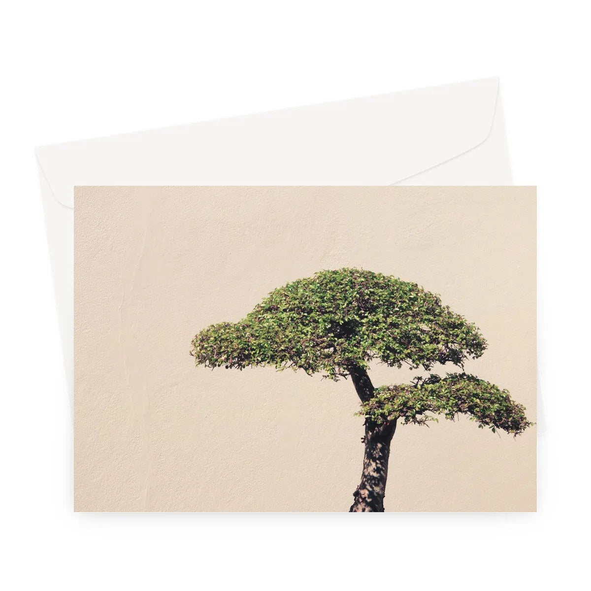 Me Myself And Bonsai Greeting Card - A5 Landscape / 10 Cards - Greeting & Note Cards - Aesthetic Art