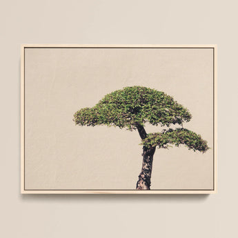 Me Myself & Bonsai - Photography Art Print / Canvas, 16x12’’ / 41x31cm / Natural Frame, Posters Prints Visual Artwork, Toby Leon
