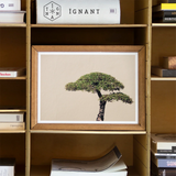 Me Myself & Bonsai - Photography Art Print / Canvas Framed Artwork Single Acacia Tree Branches Beige Background Bonsai Art Photography,
