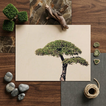 Me Myself & Bonsai - Photography Art Print / Canvas Framed Print Meticulously Pruned Bonsai Tree Lush Green Art Photography, Horticultural