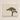 Framed Minimalist Art Print Stylized Dark-barked Tree Lush Bonsai Photography, Horticultural Haiku, Photographic Ode