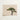 Minimalist Canvas Print Single Lush Green Tree Textured Bonsai Art Photography, Horticultural Haiku, Photographic Ode
