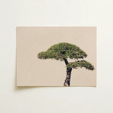 Me Myself & Bonsai - Photography Art Print / Canvas Minimalist Canvas Print Single Lush Green Tree Textured Bonsai Art Photography,