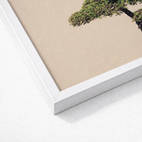 White Framed Art Print Minimalist Tree Beige Background Bonsai Photography, Horticultural Haiku, Photographic Ode