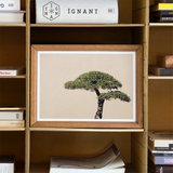 Me Myself & Bonsai - Photography Art Print, Framed Artwork Single Acacia Tree Branches Beige Background