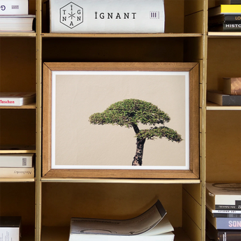 Me Myself & Bonsai - Photography Art Print, Framed Artwork Single Acacia Tree Branches Beige Background