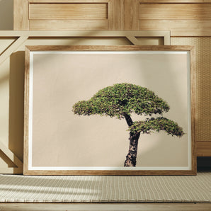 Me Myself & Bonsai - Photography Art Print, Framed Photograph Bonsai Tree Branches