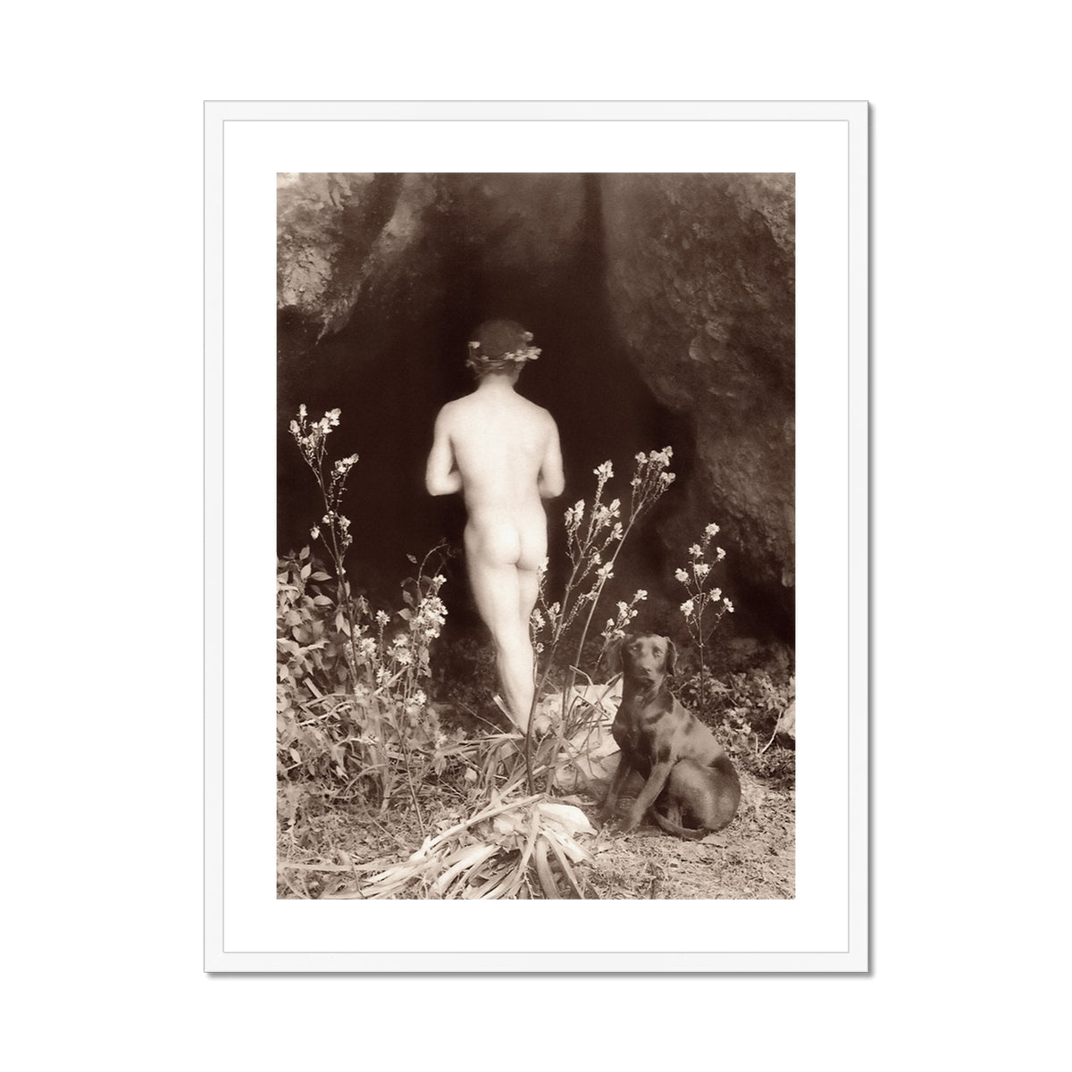 Naked Man Entering a Cave Wilhelm Von Gloeden Art Print, Sepia Toned Artistic Nude Photograph Flowers Dog Natural