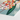 Vibrant Botanical Print Cluster White Red Yellow Flowers Robert John Thornton, Nodding Renealmia, Thornton’s