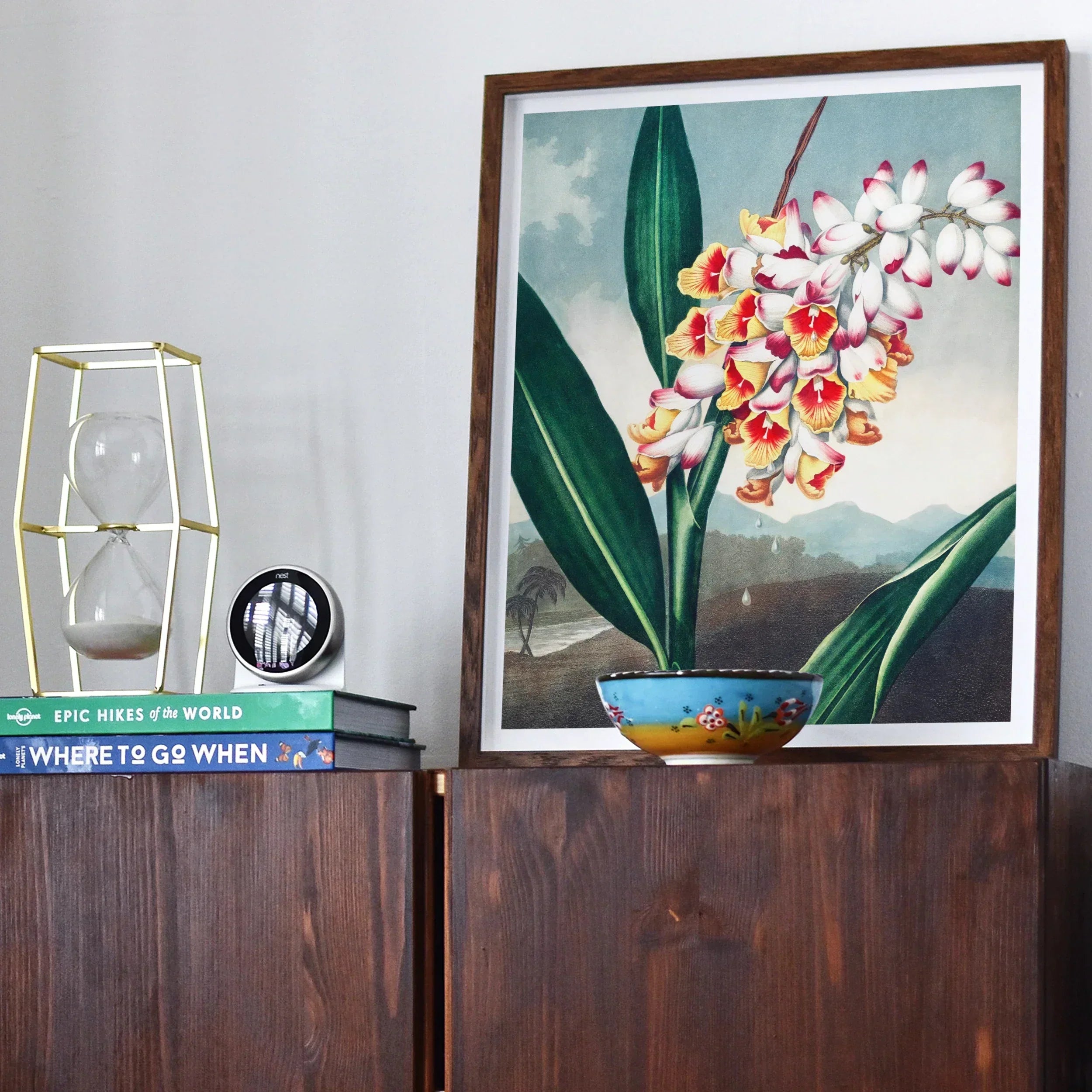 Nodding Renealmia Robert John Thornton Floral Art Print, Framed Botanical Print Pink Orange Orchids Green Leaves