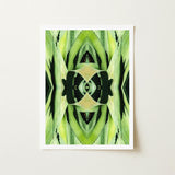 Oh so Succulent - Trippy Botanical Op Art Print / Canvas Framed Abstract Symmetrical Kaleidoscopic Patterns Green Humble Aloe Reborn,