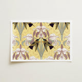 Oiseaux-mouches et Orchidées - Maurice Pillard Verneuil Print / Canvas Rectangular Art Symmetrical Design Stylized White Purple,