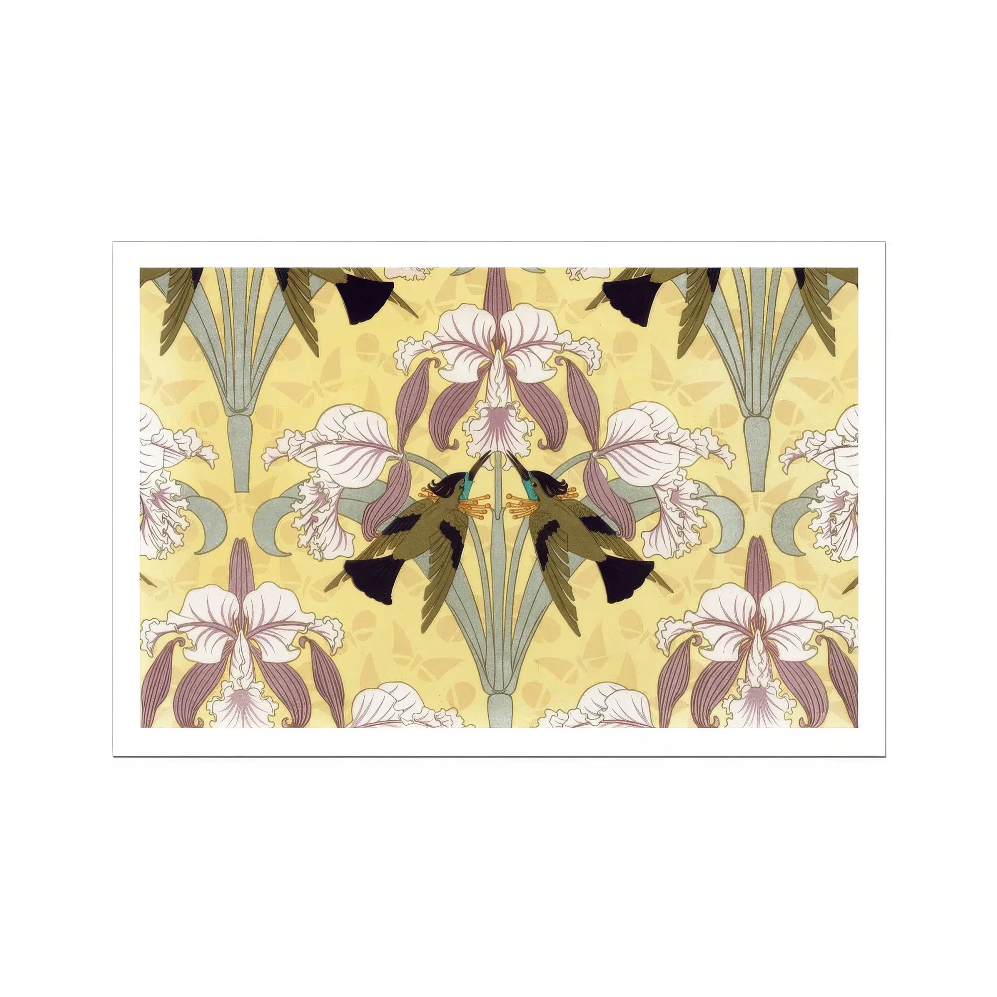 Oiseaux-mouches et Orchidées - Maurice Pillard Verneuil Print, Floral Pattern Iris Flowers White Brown Green Yellow