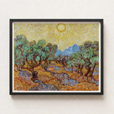 Framed Reproduction Vincent Van Gogh’s Olive Trees Sleek Gogh, Sun-drenched Provençal Groves, Post-impressionist Print