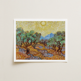 Framed Reproduction Vincent Van Gogh’s ?Olive Trees” Vibrant Gogh, Sun-drenched Provençal Groves, Post-impressionist Print