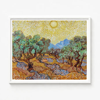 Framed Reproduction Vincent Van Gogh’s Olive Trees Yellow Gogh, Sun-drenched Provençal Groves, Post-impressionist Print