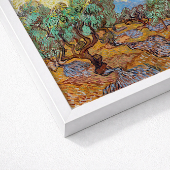 Framed Reproduction Vincent Van Gogh’s ?Olive Trees” Sleek Gogh, Sun-drenched Provençal Groves, Post-impressionist Print