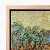 Framed Reproduction Vincent Van Gogh’s ?Olive Trees” Light Gogh, Sun-drenched Provençal Groves, Post-impressionist Print