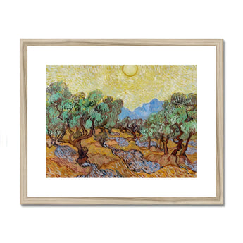Olive Trees too - Vincent Van Gogh Art Print, Framed Gogh Painting Olive Trees Bright Yellow