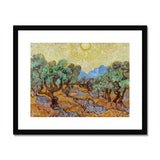 Olive Trees too - Vincent Van Gogh Art Print, Gogh’s Painting Olive Grove Bright Yellow Sun