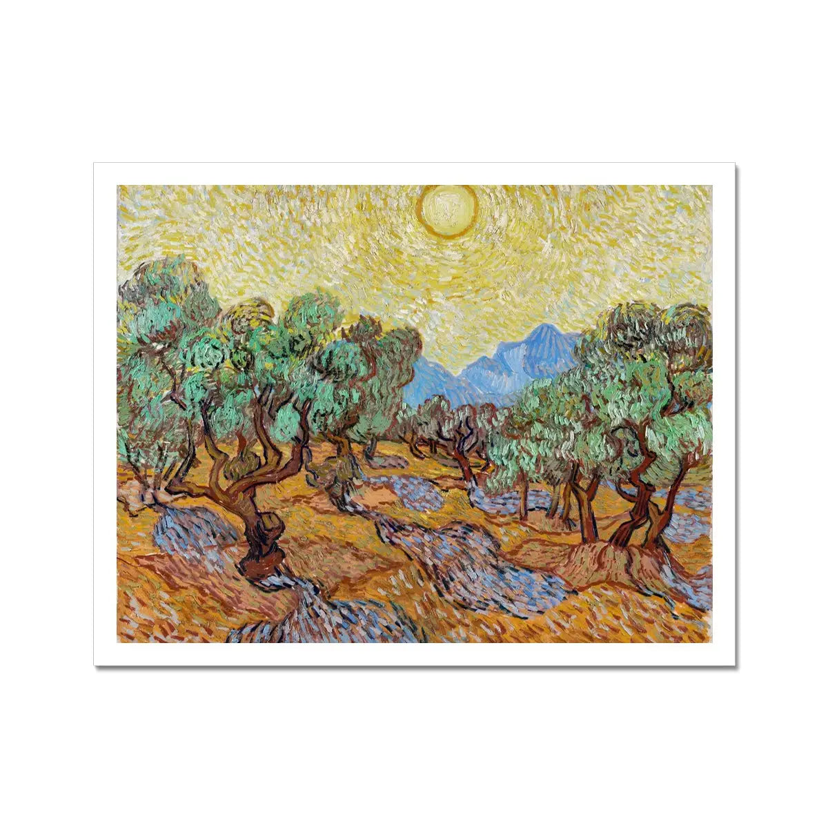 Olive Trees too - Vincent Van Gogh Post-impressionism Art Print - 14’’x11’’ - Posters Prints & Visual Artwork