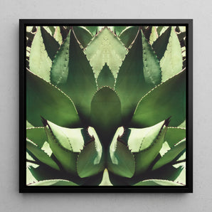 Open Wide - Agave Plant Op Art Framed Canvas, 12x12’’ / 31x31cm / Black Floating Frame, Symmetrical Close-up Agave Plant’s Spiky Green