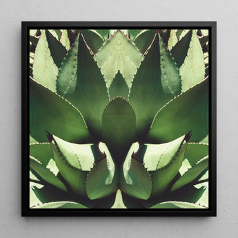 Open Wide - Agave Plant Op Art Framed Canvas, 12x12’’ / 31x31cm / Black Floating Frame, Symmetrical Close-up Agave Plant’s Spiky Green