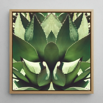 Open Wide - Agave Plant Op Art Framed Canvas, 12x12’’ / 31x31cm / Natural Floating Frame, Framed Square Canvas Print Mirrored Agave Plant