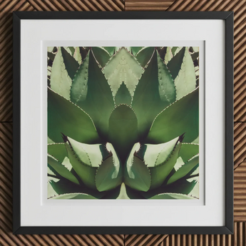 Open Wide - Succulent Agave Op Art Print, 12x12’’ / 31x31cm / Black Frame / 2’’ Matboard, Framed Print Green Agave Plant