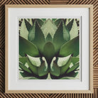 Open Wide - Succulent Agave Op Art Print, 12x12’’ / 31x31cm / Natural Frame / 2’’ Matboard, Framed Abstract Agave Plant Artwork White Mat