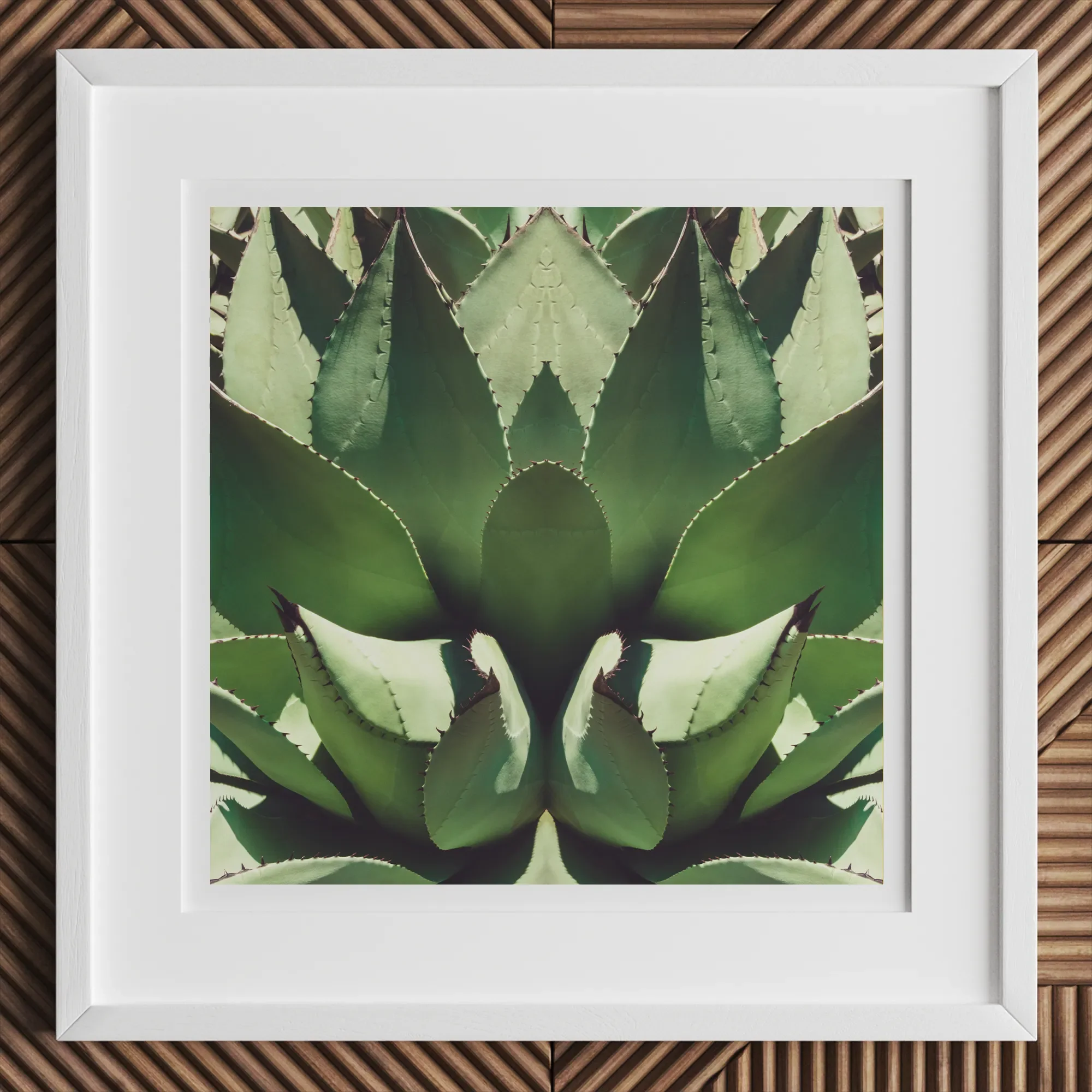 Open Wide - Succulent Agave Op Art Print, 12x12’’ / 31x31cm / White Frame, Framed Photo Print Green Agave Plant