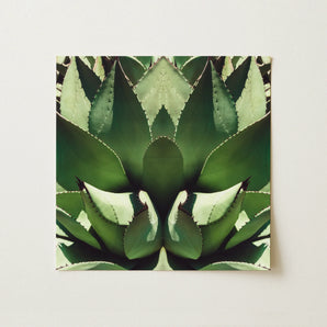 Open Wide - Succulent Agave Op Art Print / Canvas, 12x12’’ / 31x31cm / Unframed / no Border, Posters Prints & Visual Artwork, Toby Leon