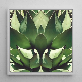Open Wide - Tirage d’art op art d’agave succulente / Toile, 12x12’’ / 31x31cm / Cadre blanc, Affiches, impressions et œuvres d’art visuel, Toby Leon