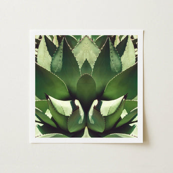Open Wide - Succulent Agave Op Art Print / Canvas Framed Square Symmetrical Mirrored Close-up Vibrant Agave’s Kaleidoscopic Allure, Verdant