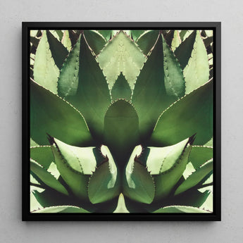 Open Wide - Succulent Agave Op Art Print / Canvas, Agave’s Kaleidoscopic Allure, Verdant Vision Quest, Botanical Phantasmagoria