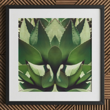 Open Wide - Succulent Agave Op Art Print / Canvas, Agave’s Kaleidoscopic Allure, Verdant Vision Quest, Botanical Phantasmagoria