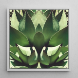 Open Wide - Succulent Agave Op Art Print / Canvas, Agave’s Kaleidoscopic Allure, Verdant Vision Quest, Botanical Phantasmagoria