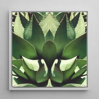Open Wide - Succulent Agave Op Art Print / Canvas, Agave’s Kaleidoscopic Allure, Verdant Vision Quest, Botanical Phantasmagoria
