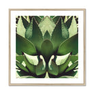 Open Wide - Succulent Agave Op Art Print