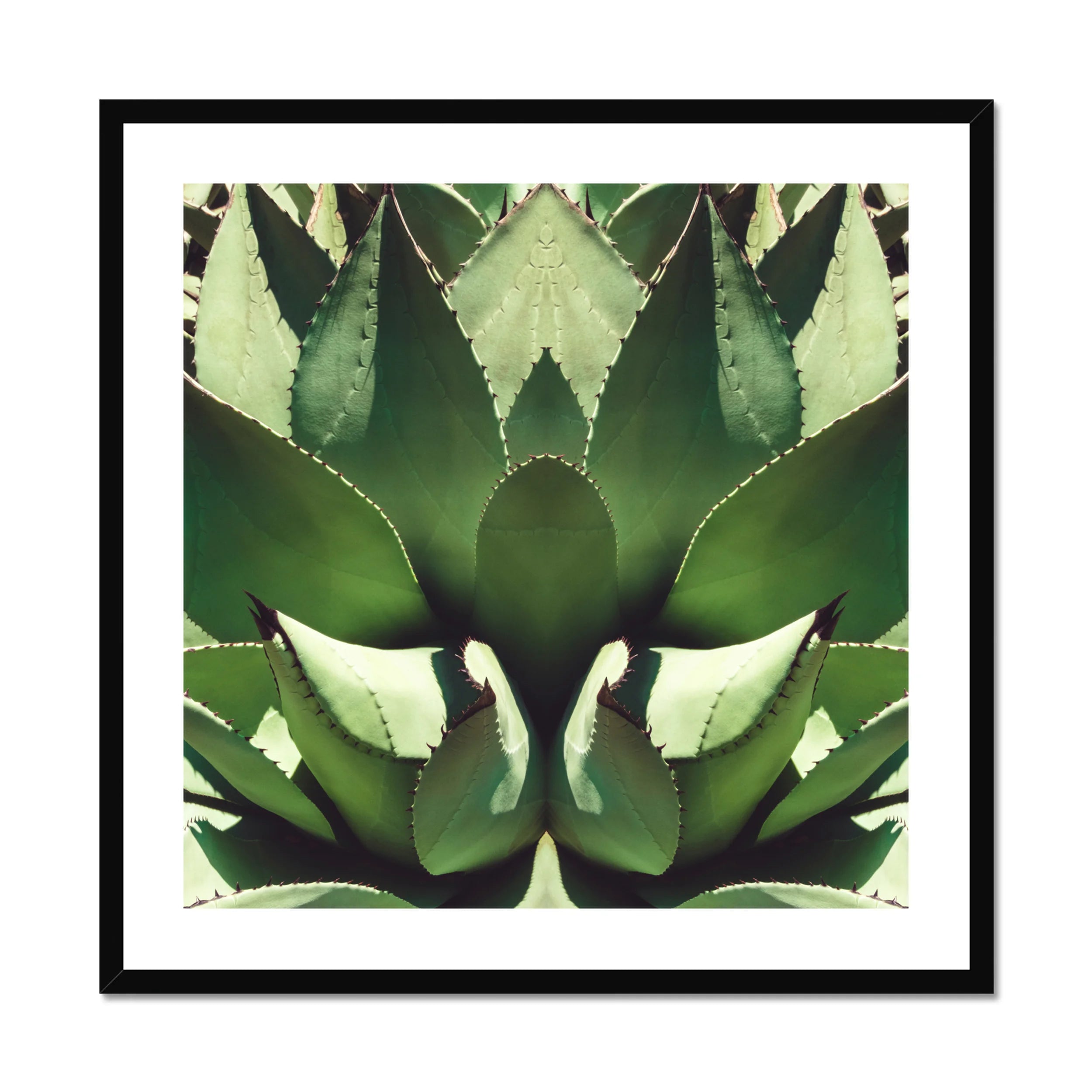 Open Wide - Succulent Agave Op Art Print