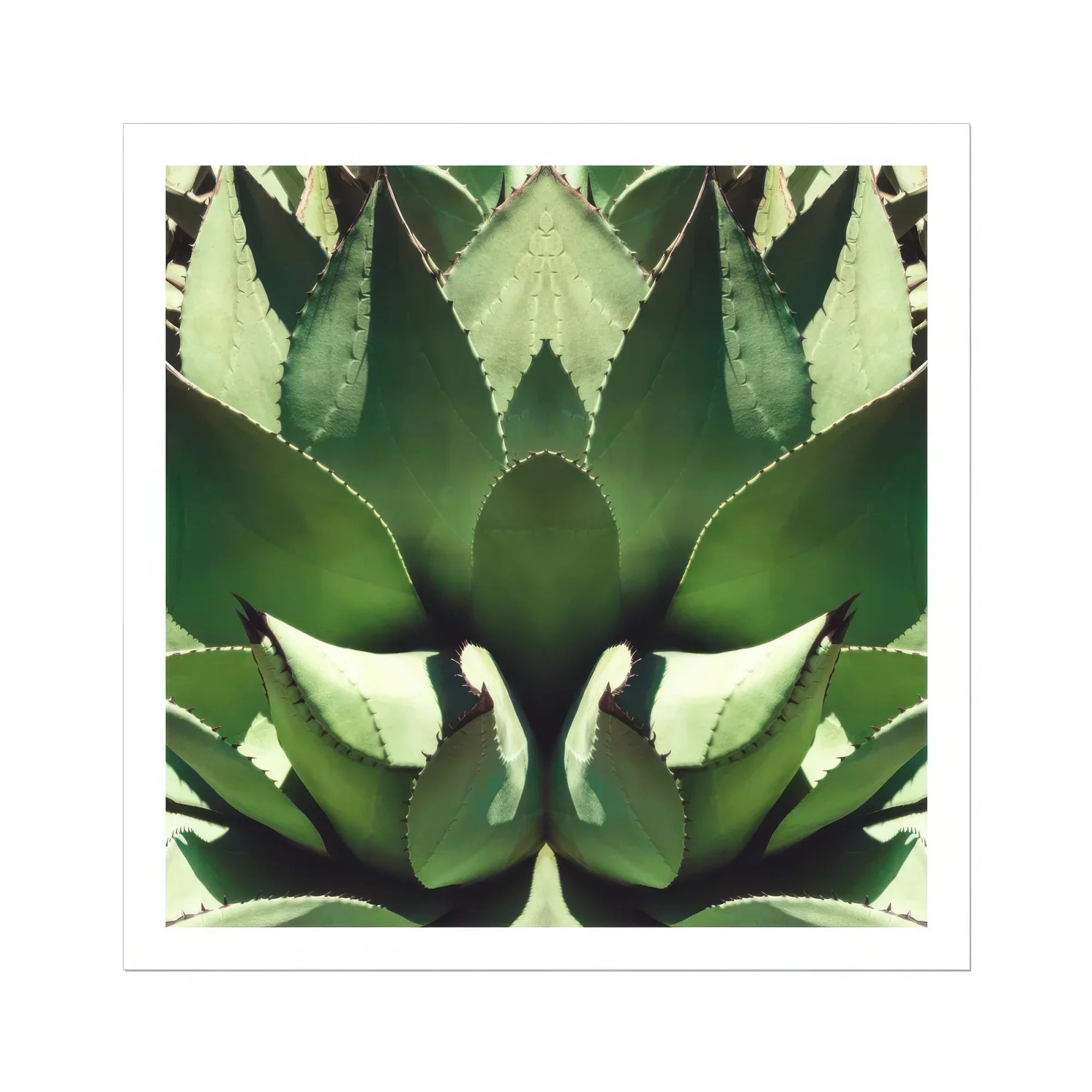 Open Wide - Succulent Agave Op Art Print Posters Prints & Visual Artwork