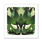 Open Wide - Succulent Agave Op Art Print