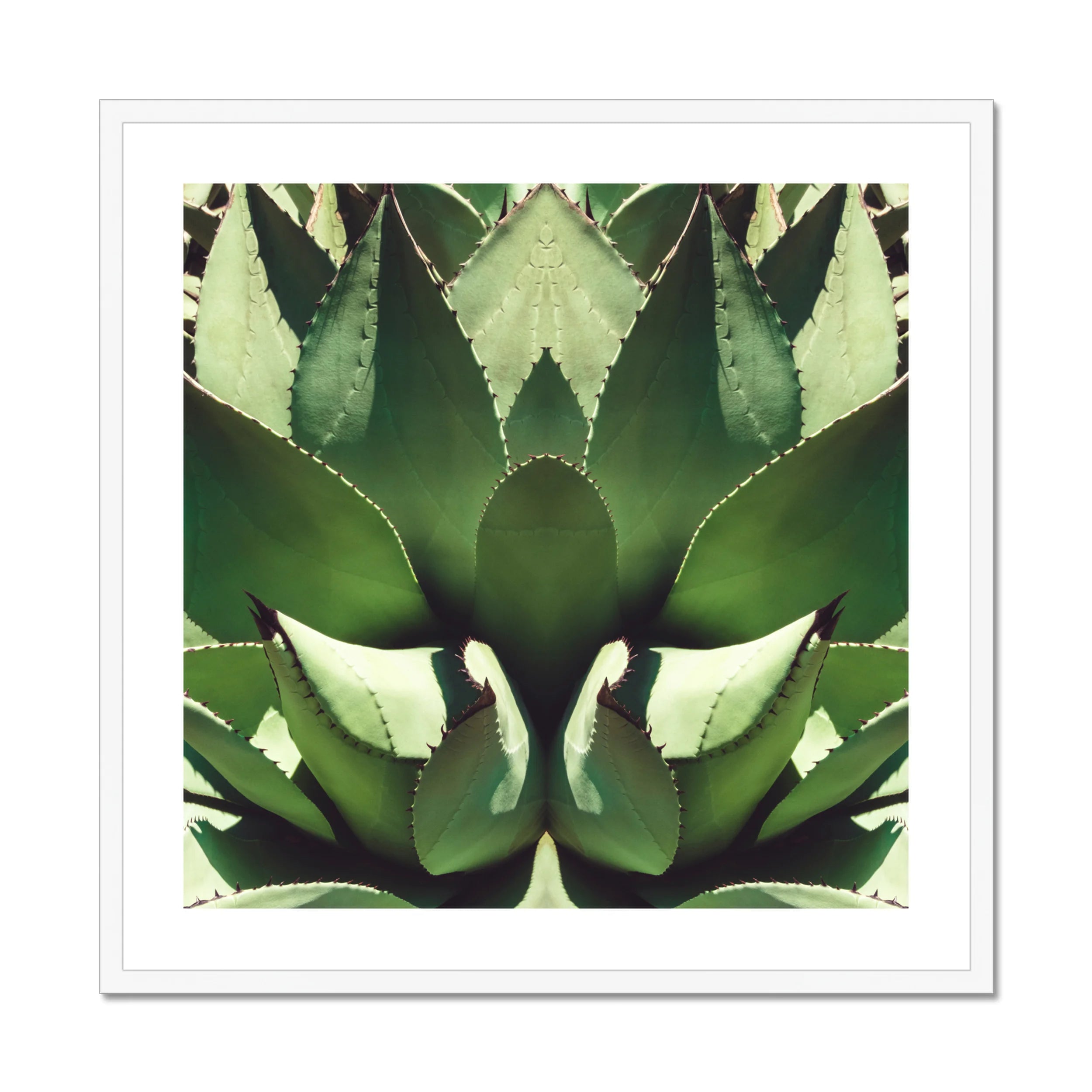 Open Wide - Succulent Agave Op Art Print