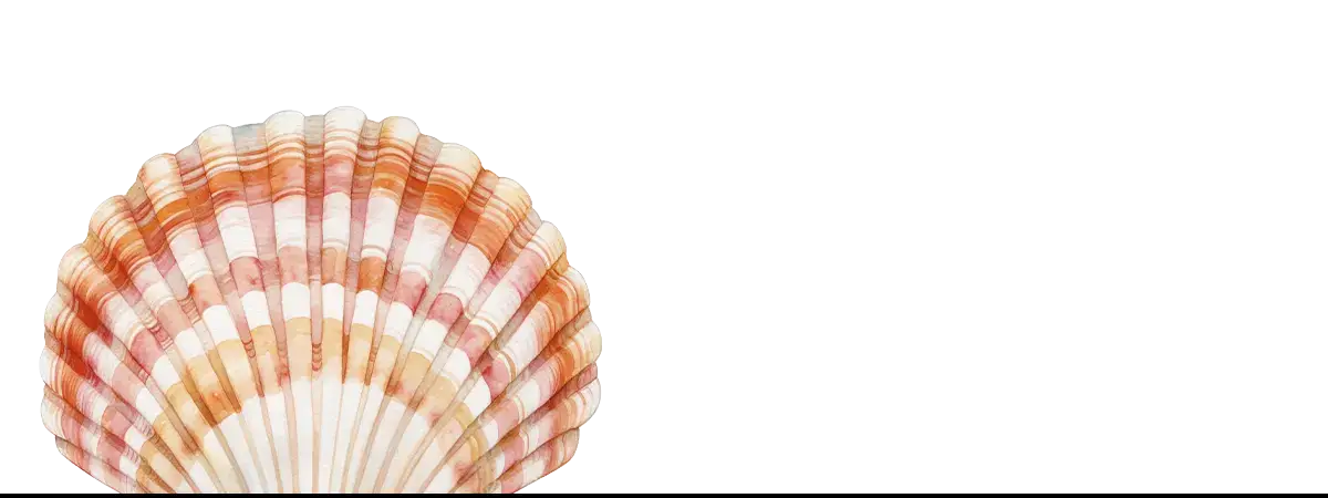 Orange and white scallop shell, reflecting William Etty’s style in male nudes art